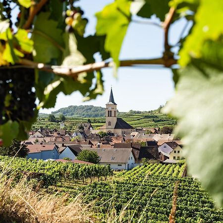 Braviscasa - Ferienresidenz Haus Am Bach Vogtsburg Am Kaiserstuhl 外观 照片